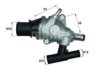 FIAT 60620386 Thermostat, coolant